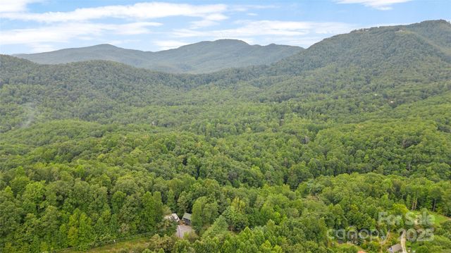 214&212 McKenzie Way, Old Fort, NC 28762