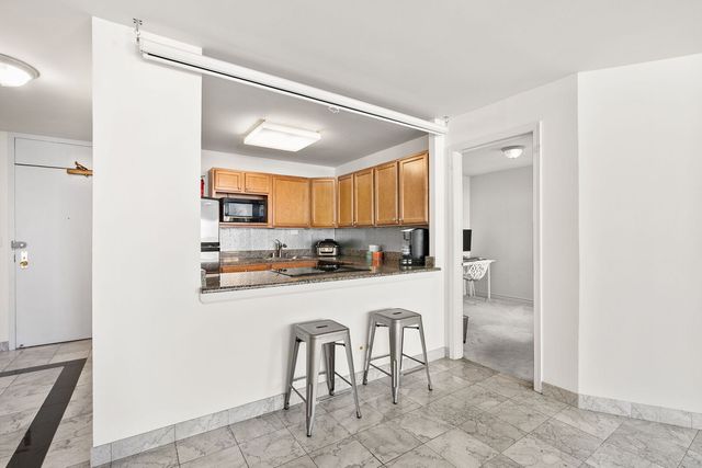 525 W Hawthorne Place 1102, Chicago, IL 60657