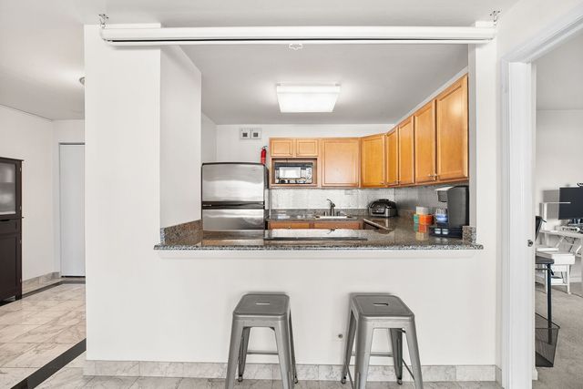 525 W Hawthorne Place 1102, Chicago, IL 60657