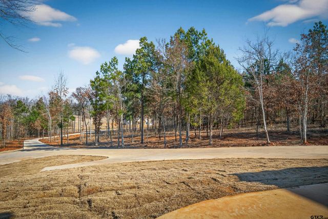 16943 Ridgeline Loop, Winona, TX 75792