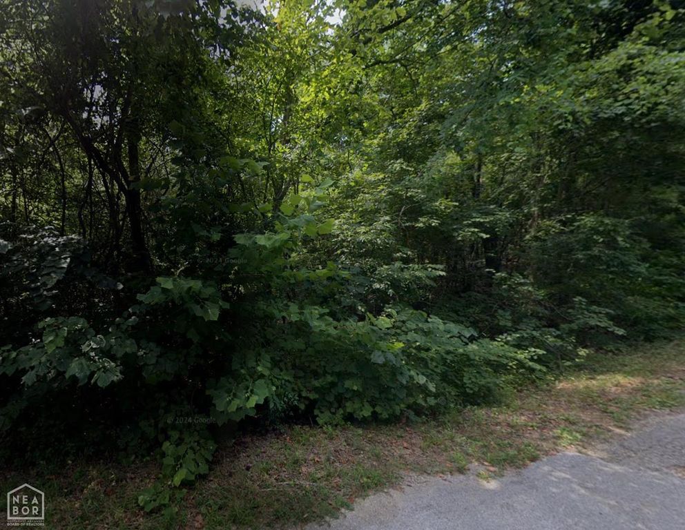 57 Iowa Drive, Cherokee Village, AR 72529