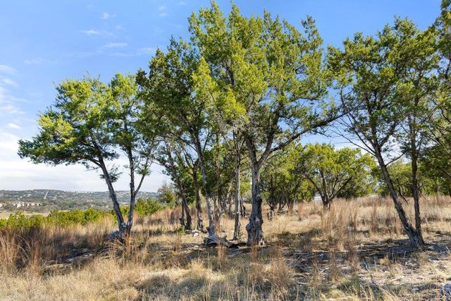 10 Thurman Bluff DR, Spicewood, TX 78669