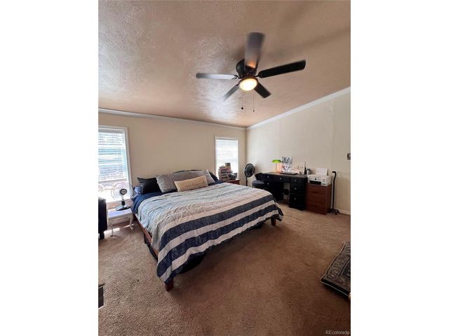 434 Blue Mountain Dr, Florissant, CO 80816