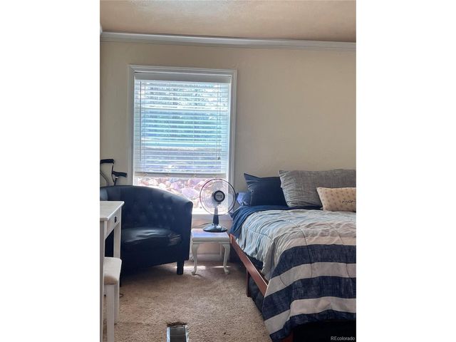 434 Blue Mountain Dr, Florissant, CO 80816