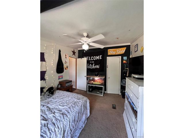 434 Blue Mountain Dr, Florissant, CO 80816