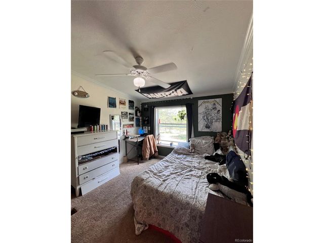 434 Blue Mountain Dr, Florissant, CO 80816