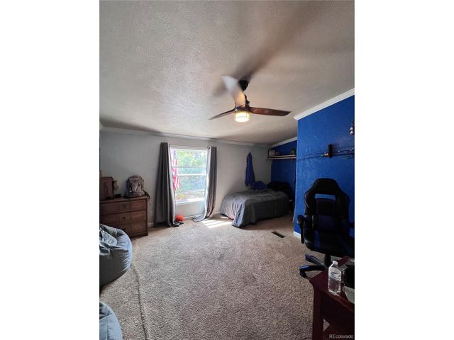 434 Blue Mountain Dr, Florissant, CO 80816