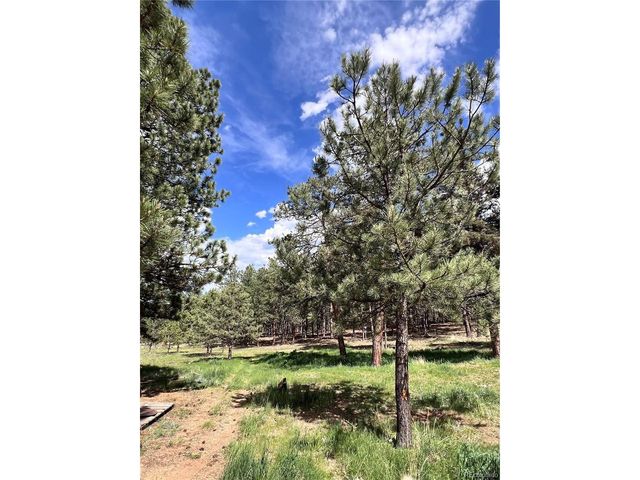 434 Blue Mountain Dr, Florissant, CO 80816