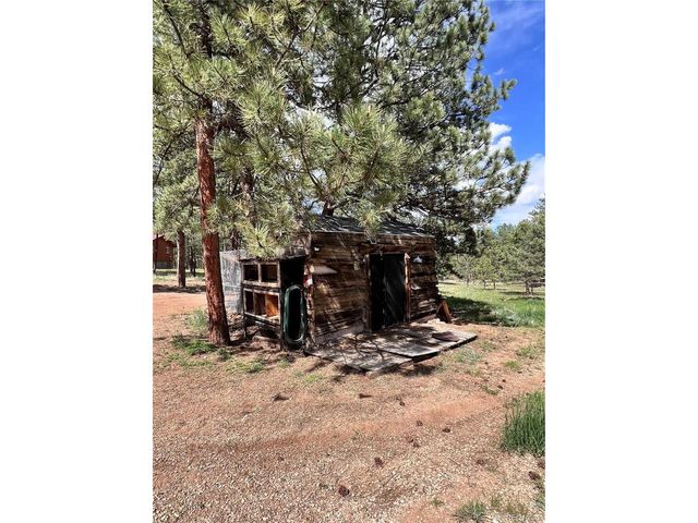 434 Blue Mountain Dr, Florissant, CO 80816