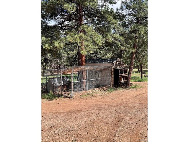 434 Blue Mountain Dr, Florissant, CO 80816