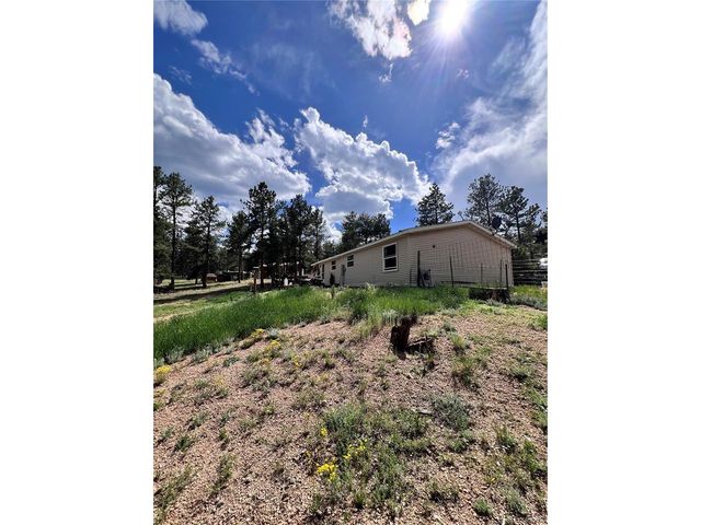 434 Blue Mountain Dr, Florissant, CO 80816