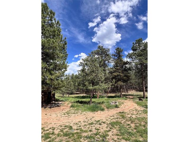 434 Blue Mountain Dr, Florissant, CO 80816