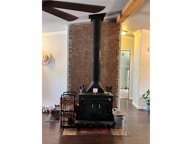 434 Blue Mountain Dr, Florissant, CO 80816