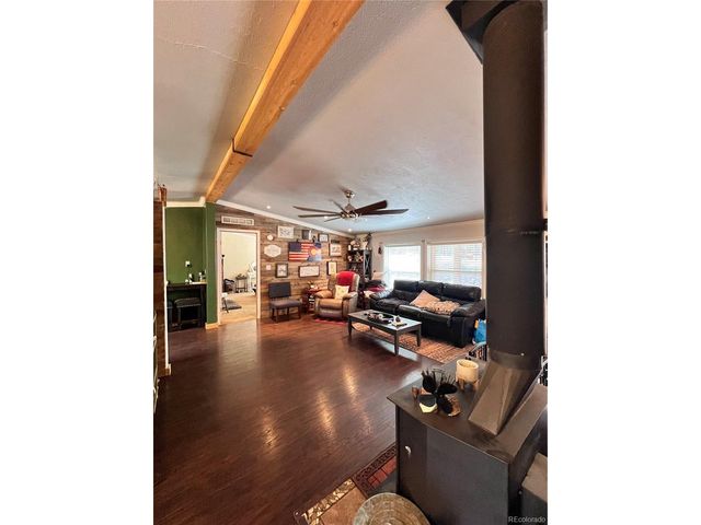 434 Blue Mountain Dr, Florissant, CO 80816