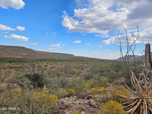 TBD N PEDREGOSA RD LOT 12O -- 120, Douglas, AZ 85607