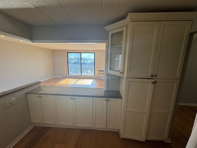 9128 W Terrace Drive 3M, Niles, IL 60714