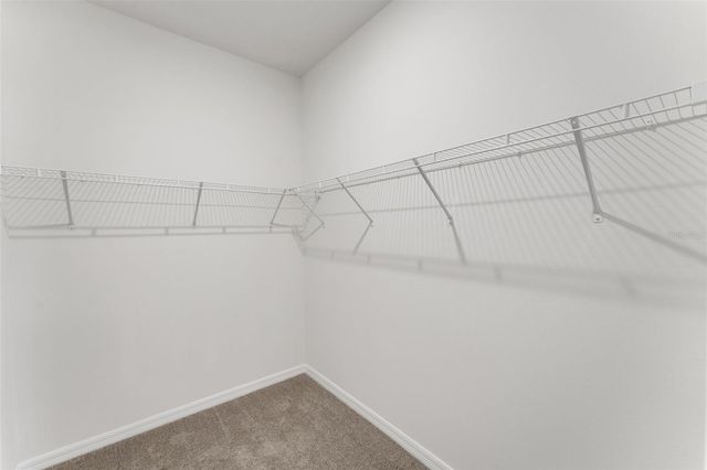 16935 SQUIRREL BRANCH LANE, Alva, FL 33920