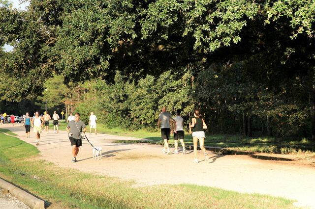 6506 Rodrigo Street, Houston, TX 77007