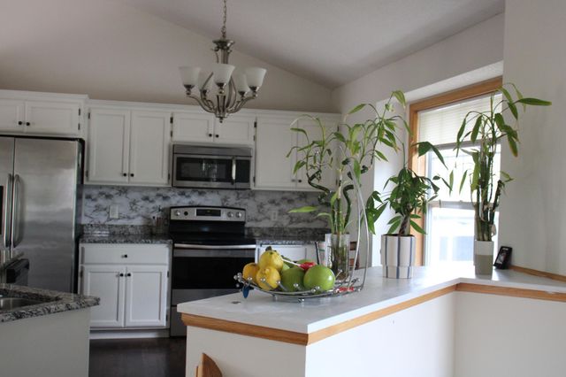 9919 Weston Drive, Monticello, MN 55362