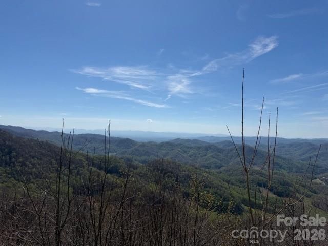 140 Slickrock Road F4, Burnsville, NC 28714