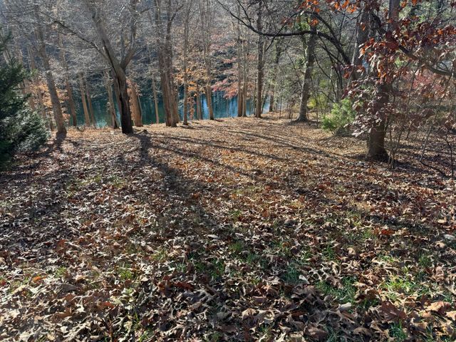 Lot 3 Aspen WAY, Moneta, VA 24121