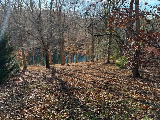 Lot 3 Aspen WAY, Moneta, VA 24121