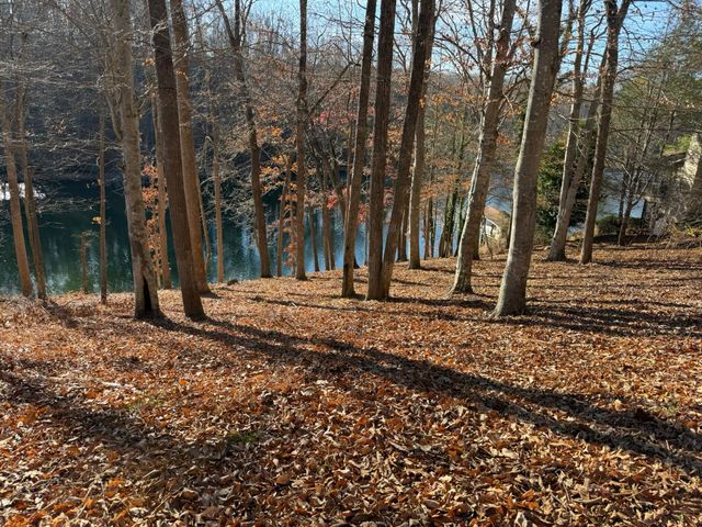 Lot 3 Aspen WAY, Moneta, VA 24121