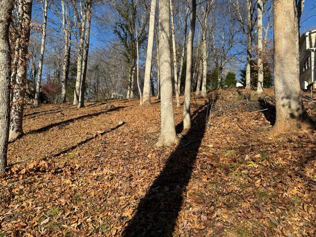 Lot 3 Aspen WAY, Moneta, VA 24121