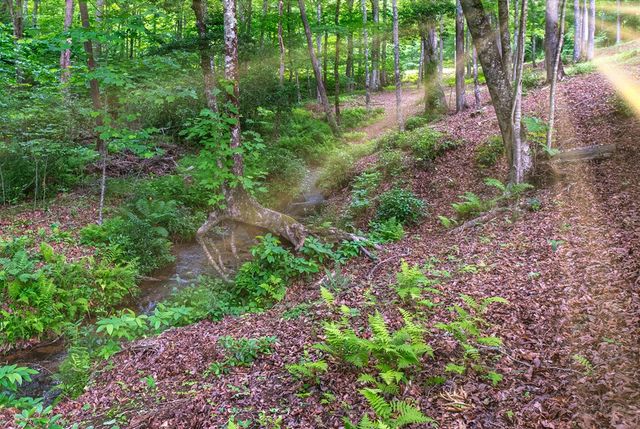 1220 Burger Road, Murphy, NC 28906