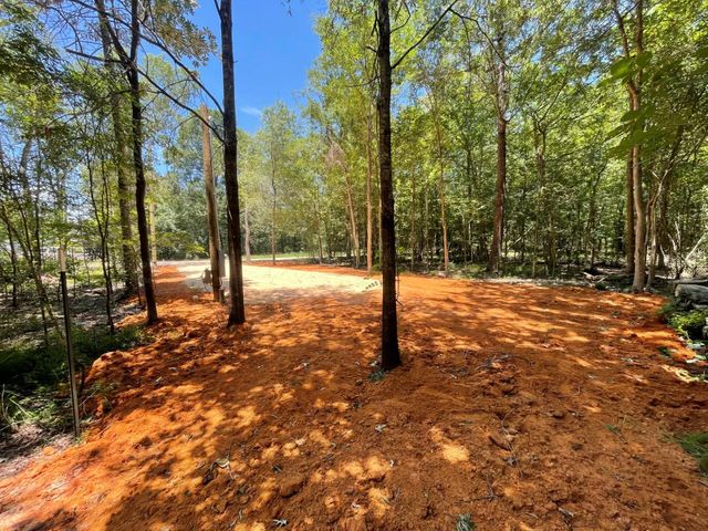 269 Cloverdale, Livingston, TX 77351