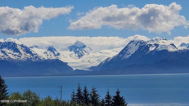 41345 Alan Street, Homer, AK 99603