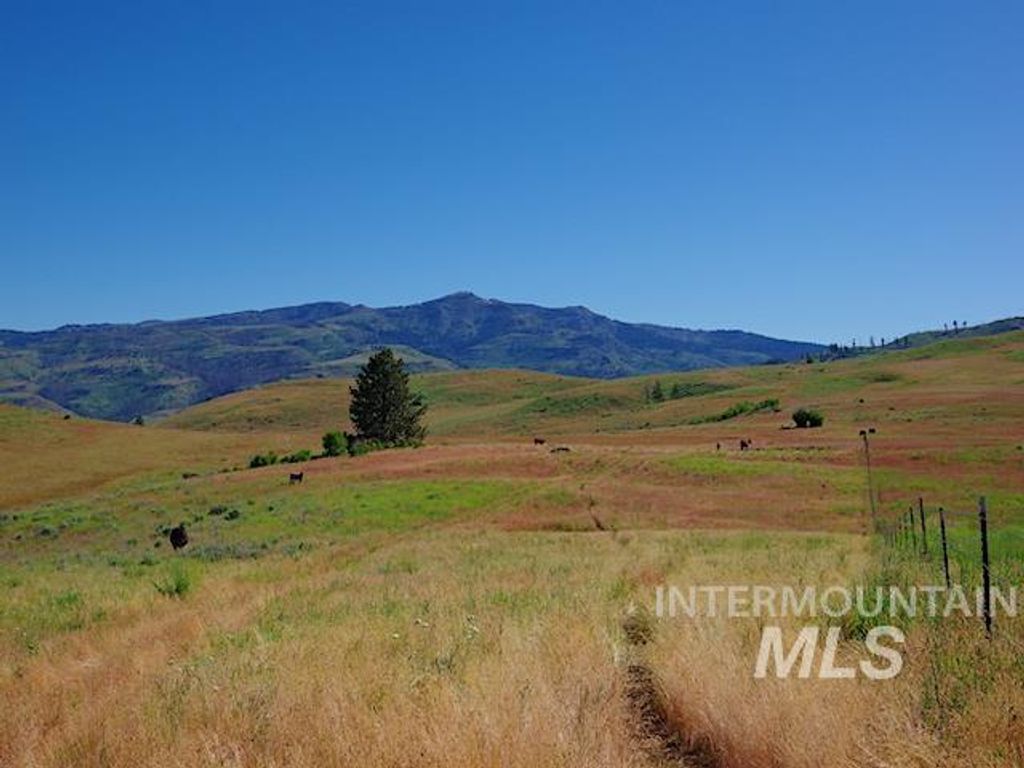 TBD North Grays Creek Road, Indian Valley, ID 83632
