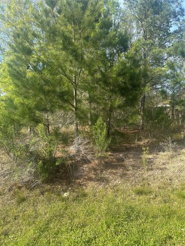 867 County Road 3415, Cleveland, TX 77327