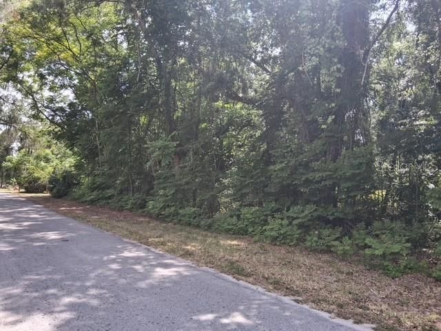 NW 2ND STREET, Webster, FL 33597