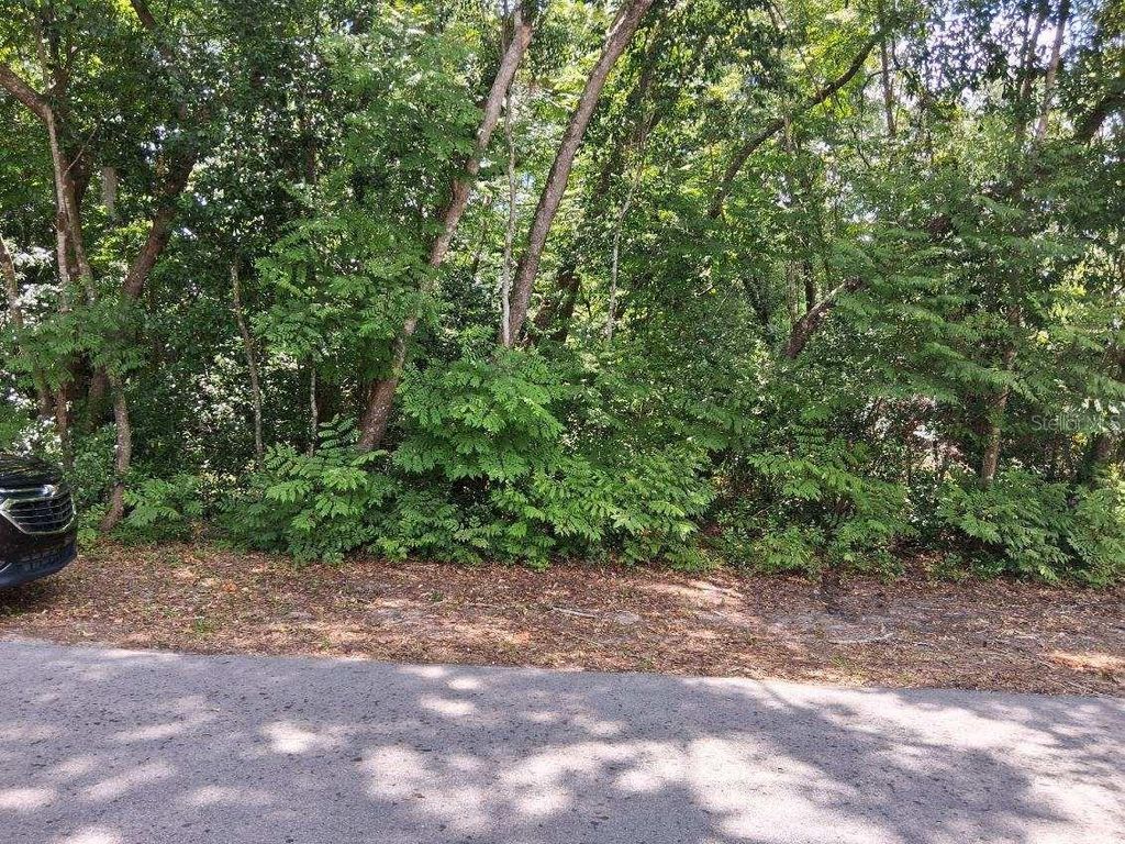 NW 2ND STREET, Webster, FL 33597