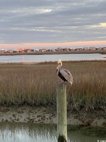 900 Birch Garden Dr., Longs, SC 29568