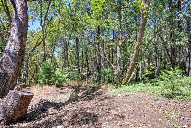2585 Crystal Springs Rd, Camino, CA 95709