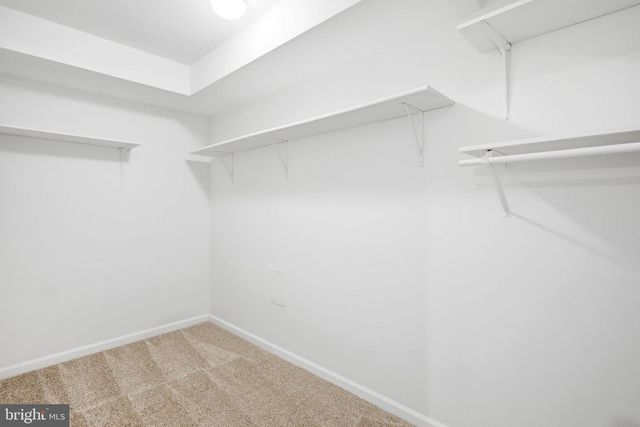 8322 MIDDLE RUDDINGS DR, Lorton, VA 22079