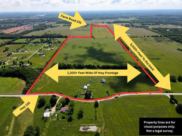 3246 N State Highway 125, Strafford, MO 65757