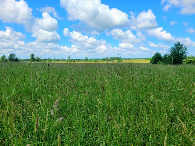 3246 N State Highway 125, Strafford, MO 65757