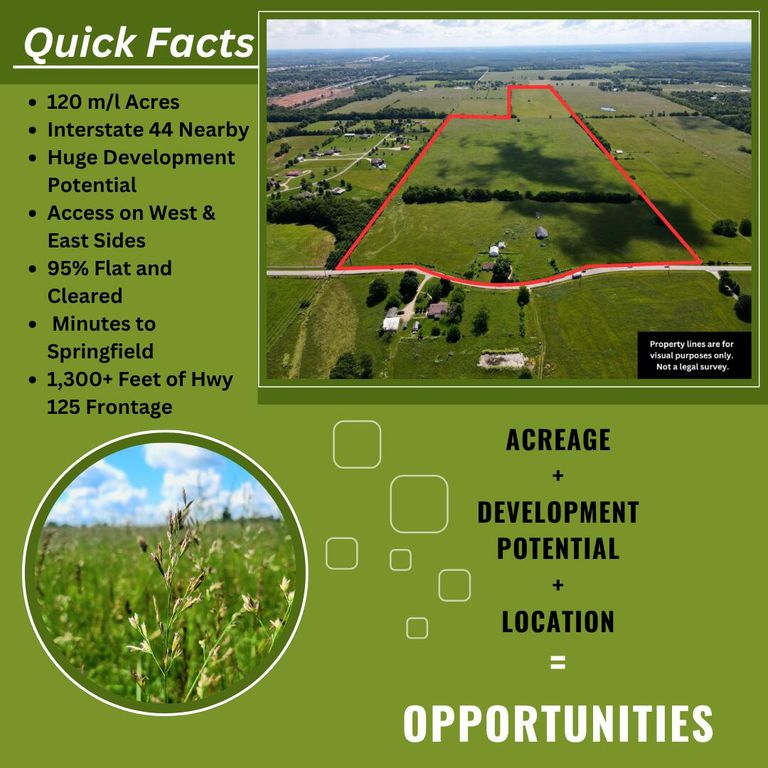 3246 N State Highway 125, Strafford, MO 65757