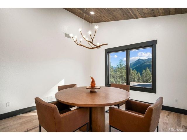 16654 S 7th St, Pine, CO 80470
