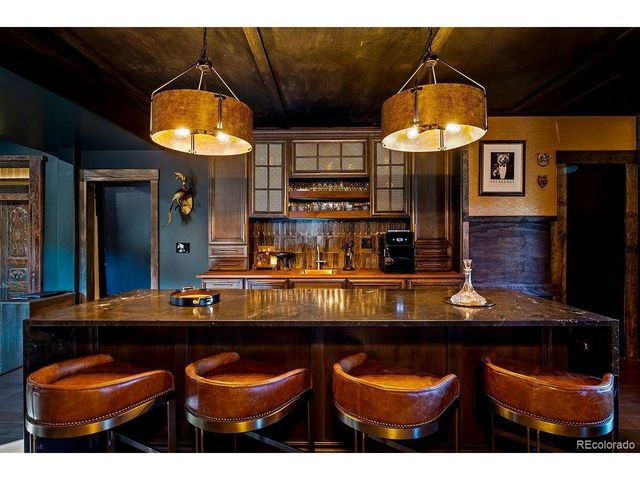 16654 S 7th St, Pine, CO 80470
