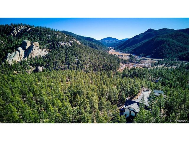 16654 S 7th St, Pine, CO 80470