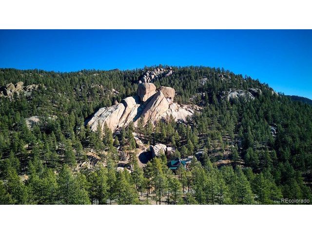 16654 S 7th St, Pine, CO 80470