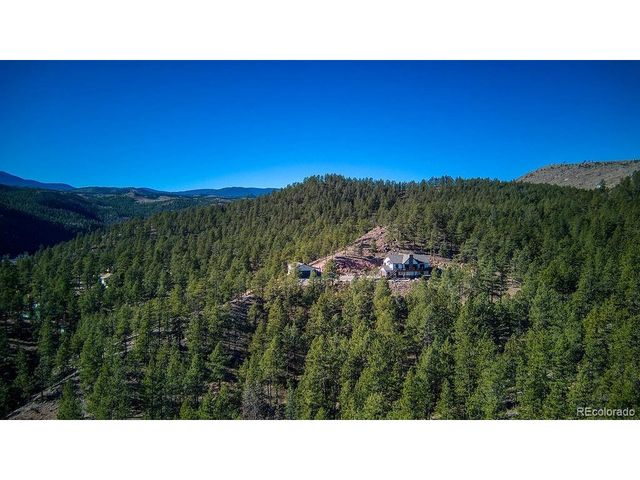 16654 S 7th St, Pine, CO 80470