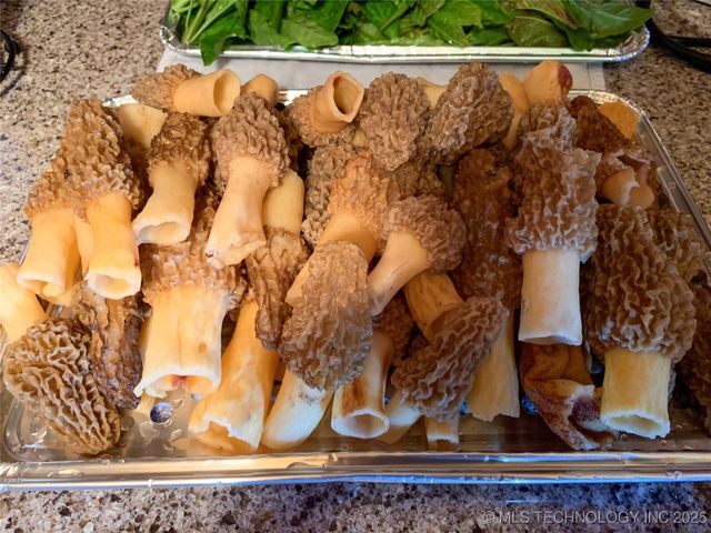 33215 W 56th Street S, Mannford, OK 74044