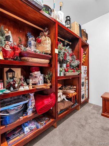 245 Chickadee Lane, Sullivan, MO 63080