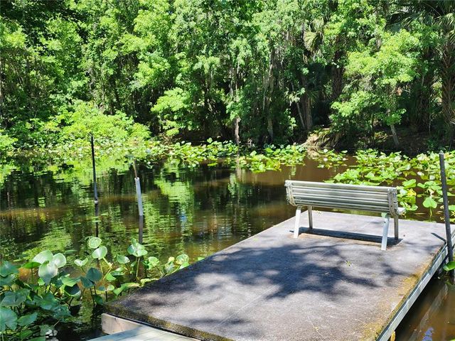 32124 HOLOPAW TRAIL, Sorrento, FL 32776