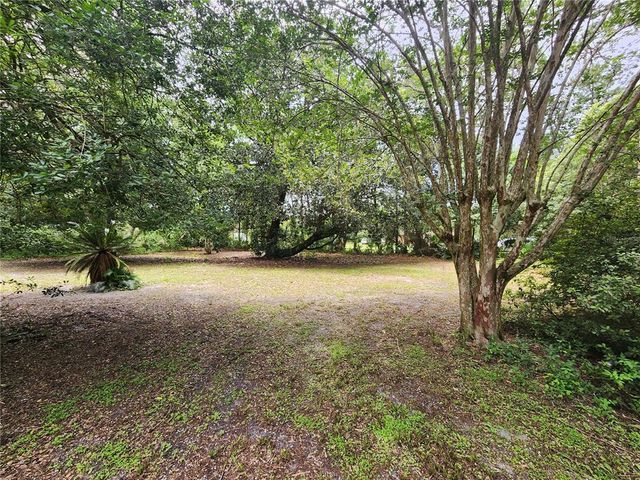 32124 HOLOPAW TRAIL, Sorrento, FL 32776